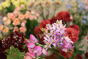 袋井市花屋