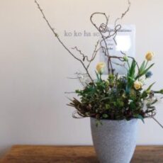 きのうのお届けは本日オープンの磐田市の美容院様へ