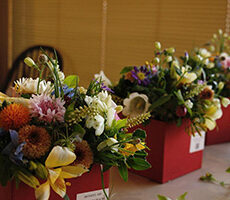 明日から母の日week